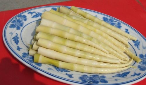 竹笋怎么做？如何烹饪出美味佳肴