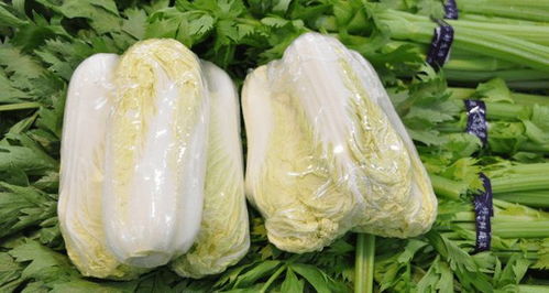 夏季种植娃娃菜，口感梗佳