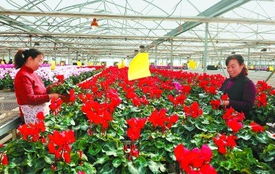 1. 整地，打好基础