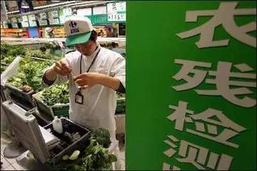 大葱大蒜的种植