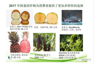 猫屎瓜储藏技术：探讨如何延长猫屎瓜的保鲜期