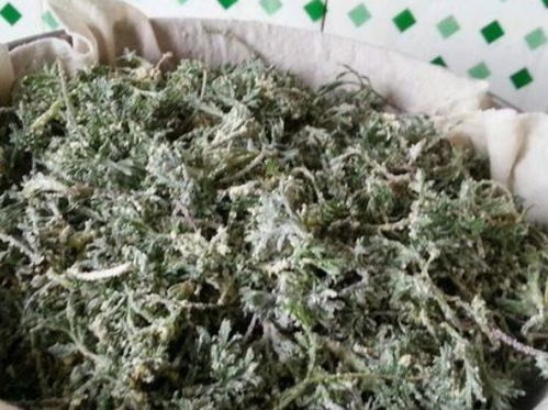 宠物兔的草， 晒干还是烘干