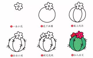 第一步：先画个圆圈圈