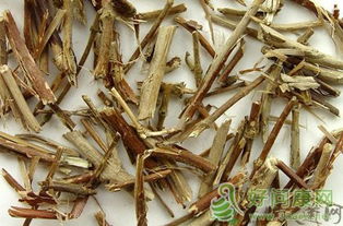 忍冬藤的多样名字