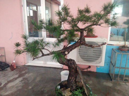 排水系统：积水怎么办？