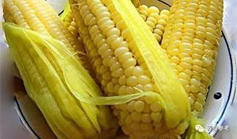 玉米的黄金搭档，你猜猜是什么？