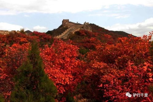 浙江十大赏红叶好去处名单