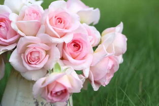 获奖无数， 美誉满满