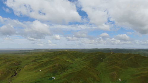 高空风电场， 草地修复大挑战