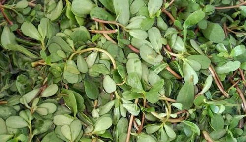 白斑治愈，要注意啥？