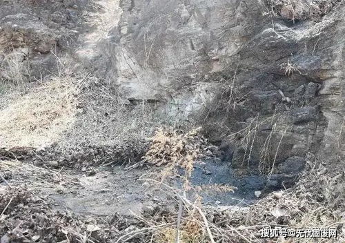 常丰农化公司，刺鼻气味弥漫