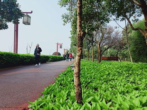 园艺工人忙碌种植