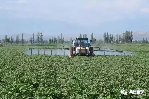 河南周口植保站的“三三制用药法”