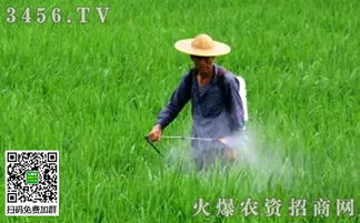 打药施肥同步操作时如何避免对植物造成伤害