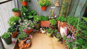 反面案例：误种品种的教训