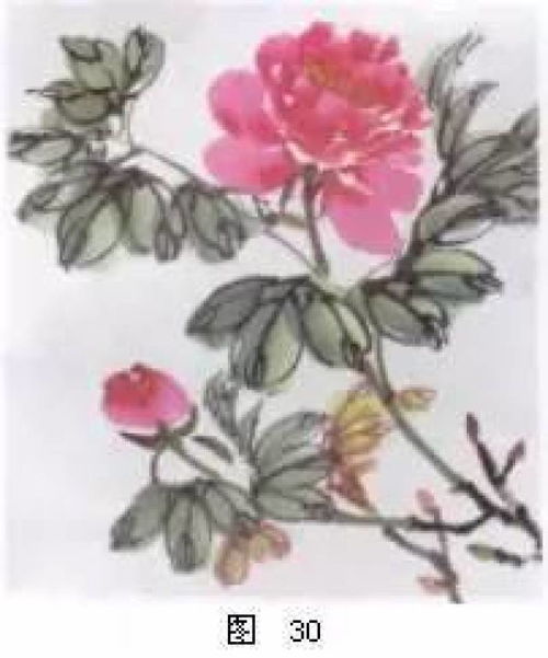 牡丹画法教程哪里找？一招教你轻松入门