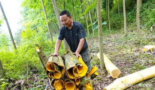 懒人种植，也有门道