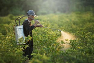 农药厂泄露事件：一场无声的灾难