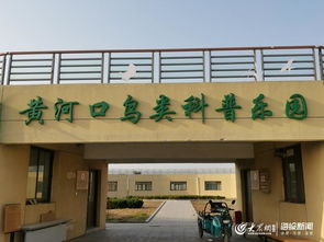 神驰石油化工销售有限公司