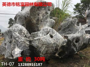 怎么鉴别太湖石