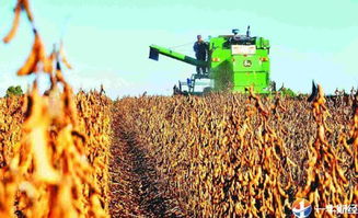 5000吨豆粕大豆5000一吨油厂压榨成本是多少？