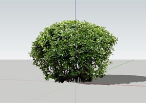 绿意盎然 点缀你的户外生活