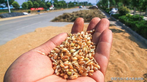 第三招：病菌偷袭