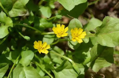 路边那些花花绿绿的小秘密