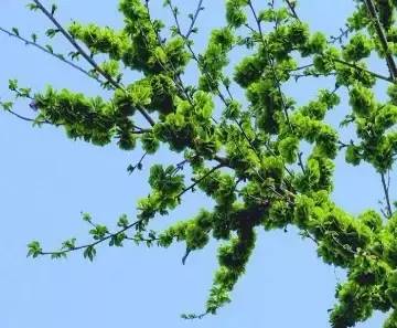 价格这事真说不准