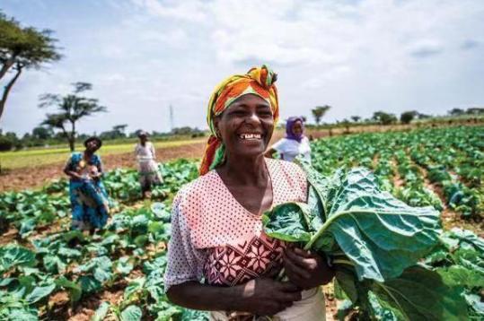 雨季的非洲：蔬菜的乐园