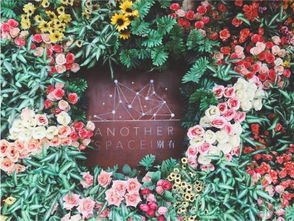 直男养花指南：提升家居氛围的花儿们