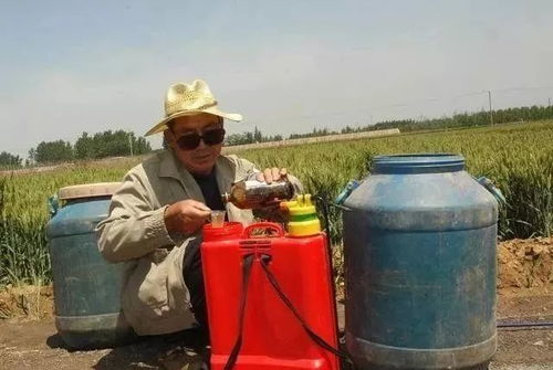 杀虫剂用量与面积的关系