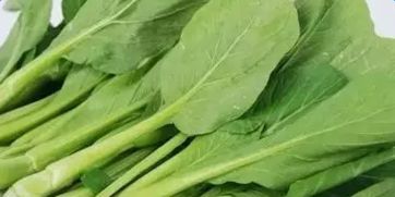 菜心是什么菜的一种？