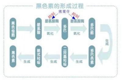 揭秘白皮月界：如何高效控制畜牧生产流程？