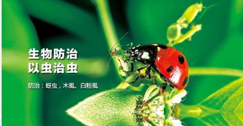 生物防治，绿色又环保