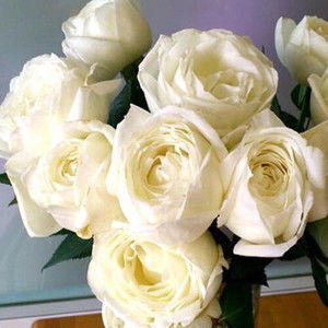 总体评价：养活她， 就是值得的