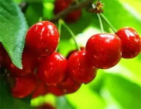 救命三招全流程