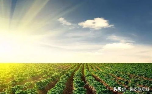 揭秘农业之源：科学水循环在田间的奥秘