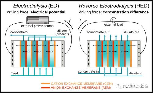 现在准备好把你的