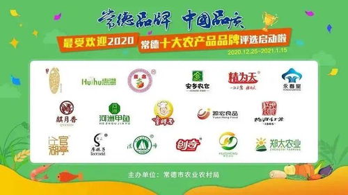2023年中国猪饲料市场，哪些品牌的前十大猪饲料最受欢迎？