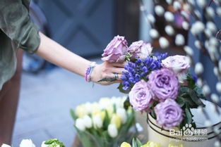 玫瑰花语：一瓣一情感，祝福满满心