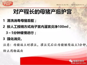 夏季母猪管理及疾病防治技术优化