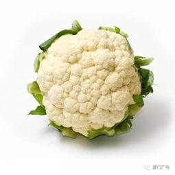 花椰菜产地贮藏方法，探讨如何延长花椰菜新鲜度