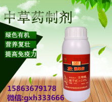 玉米原产地， 栽培范围广