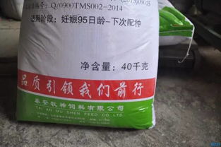 哺乳母猪饲料如何搭配最经济实惠，老养殖户亲测的3套方案能省下多少饲料费？