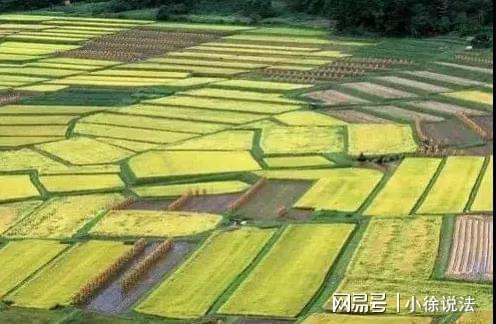 揭秘：耕地与基本农田的区别及建房政策，一文读懂！