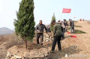 耐寒耐热的树种