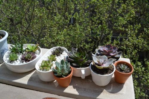 土壤是否需要晒太阳杀菌