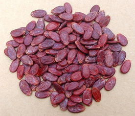 红瓜子花源地揭秘，产地精选，养眼必备！