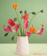 家庭不宜种植的花卉：警惕这些有害植物